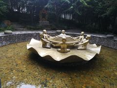 -杭州黄龙洞