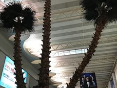 -温州龙湾国际机场