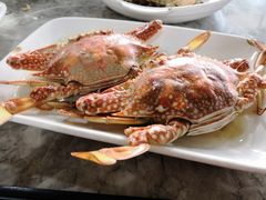 -四川小胡子海鲜(丁村万人海鲜广场店)