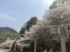 -杭州少年儿童公园