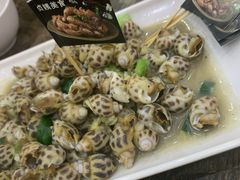 沙姜花螺-贞姨美食·老字号海鲜大排档