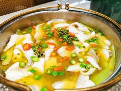网红青花椒沸腾鲈鱼-上上席川菜(凯德乐峰广场店)