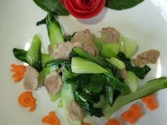 -爱月宝月嫂·育儿嫂(哈尔滨总店)