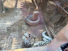 -青藏高原野生动物园