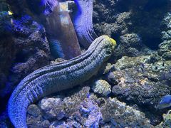 -海合安青岛极地海洋公园