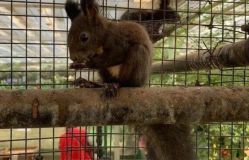 -萌宠亲子动物乐园(槐房万达店)