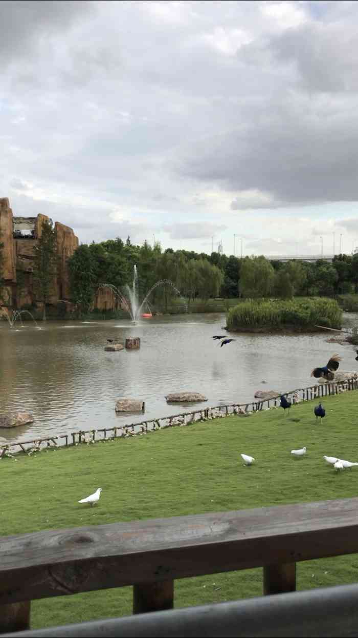 顾村公园-"面积非常大的一个公园,公园分区非常的明确.