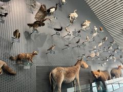 -中国湿地博物馆