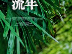 -望江楼公园