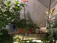 -About Bistro關於·泰式家庭料理