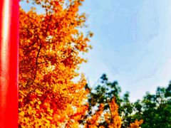 -四川大学(华西校区)