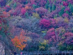 -九如山休闲旅游度假区