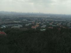 -上海佘山国家森林公园西佘山园