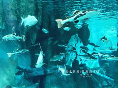 -福州罗源湾海洋世界旅游区