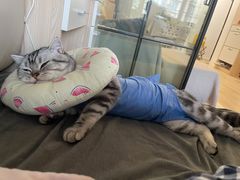 -北京恒爱动物医院(清景园分院)