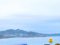 -枸杞岛