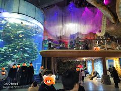 -泉城欧乐堡海洋极地世界