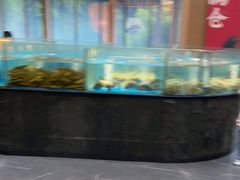 -耕渔小院·湖南鱼鲜(望城店)