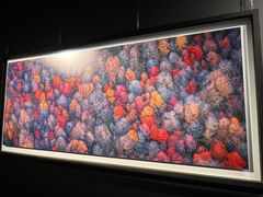 -罗红摄影艺术馆