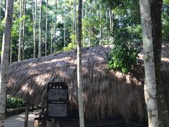 -海南槟榔谷黎苗文化旅游区