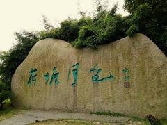 -荷塘月色湿地公园·向阳花洲
