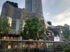 -爱雍·乌节