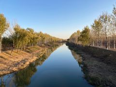 -东郊湿地公园