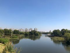 -新江湾城公园