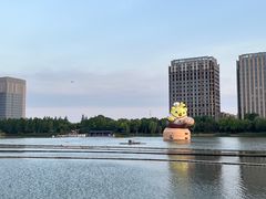 -南翔镇银翔湖公园