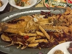 -马迭尔德式西餐精酿啤酒屋(中央大街店)