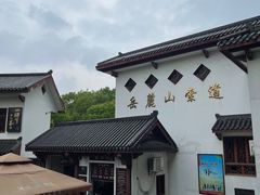 -MAMACHA妈妈茶(岳麓山店)
