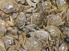 -港畔赶海蒸汽海鲜烧烤自助(仙螺岛店)