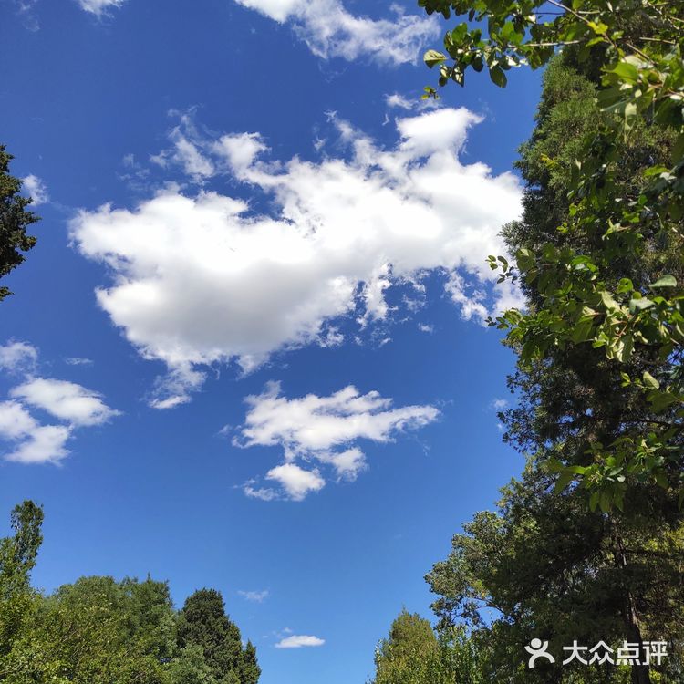 故宫的云，都是神兽化身的吧[调皮][糖果][加油]
