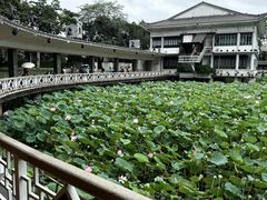 -荔湾湖公园