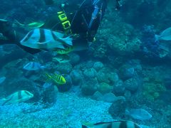 -海合安青岛极地海洋公园
