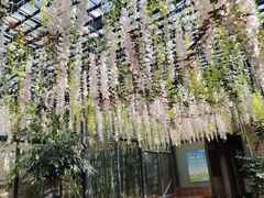 -阿鹏故事云南野生菌火锅(人民路店)