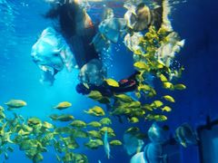 -太平洋海底世界