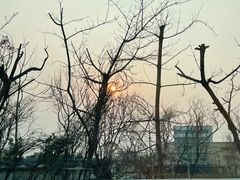 -南沙十九涌渔人码头-南门