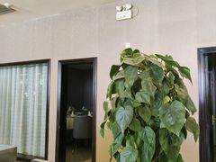 -南方酒店·淮扬菜(回民街店)