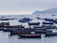 -海源公园