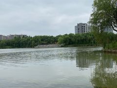 -中国药科大学（江宁校区）-图书馆