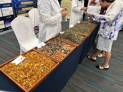 -广州番禺万博汉溪长隆希岸Deluxe酒店
