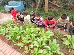 -吉的堡幼儿园(资阳恒大园)