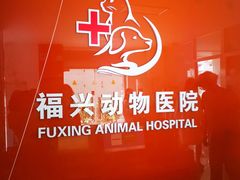 -瑞派福兴宠物医院犬猫全科·骨科·中西医结合(河东店)