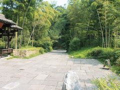 -法云安缦酒店