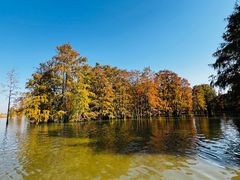 -池杉湖湿地公园