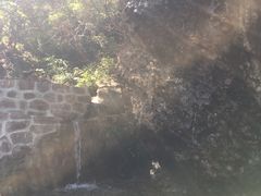 -山叶口景区