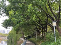 -月湖风景区