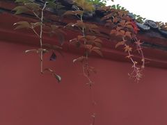 -宫廷糕点铺