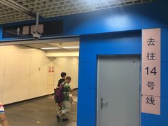 -大望路(地铁站)